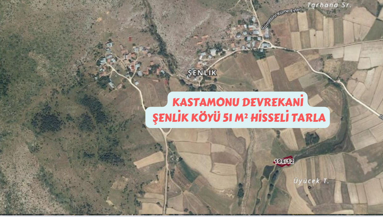 KASTAMONU DEVREKANİ ŞENLİK KÖYÜ 51M² HİSSELİ TARLAMIZ SATILIKTIR - KASTAMONU DEVREKANİ fotoğraf 6